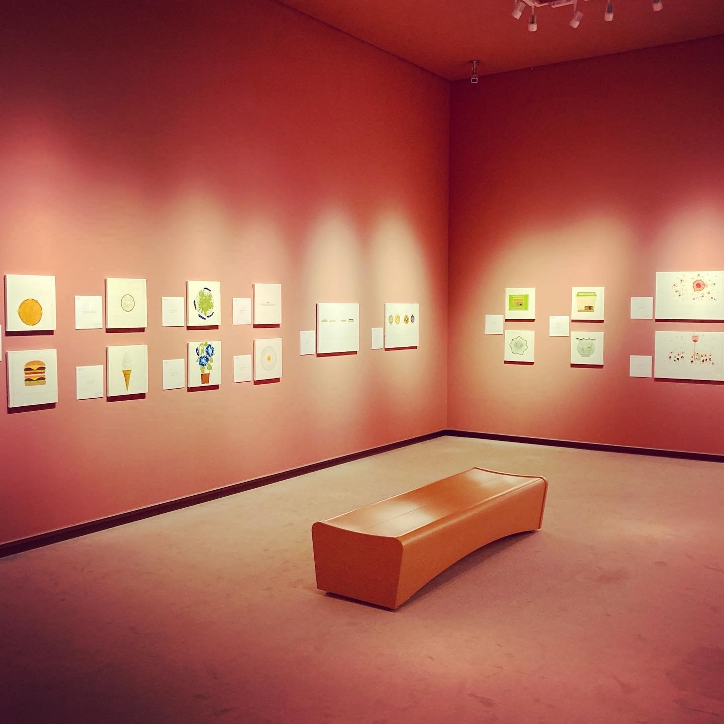 ワタリドリ計画