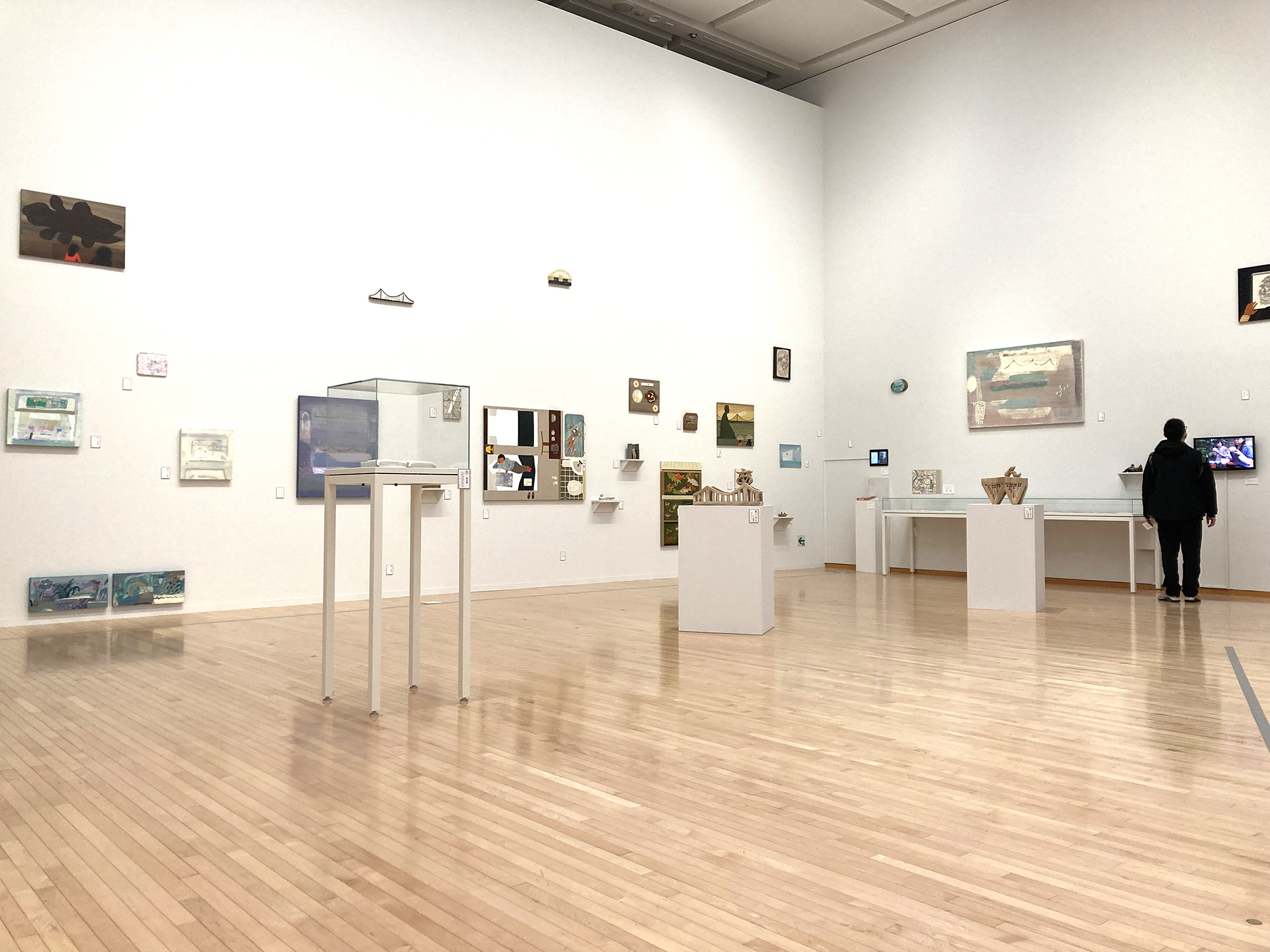 ワタリドリ計画