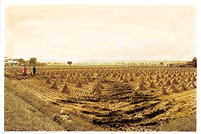 喜多方郵便の旅